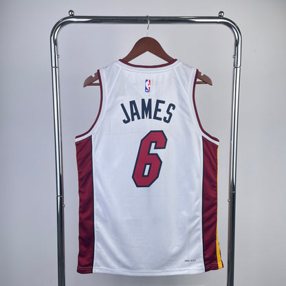 NBA Miami Heat 23 (Retro Players)