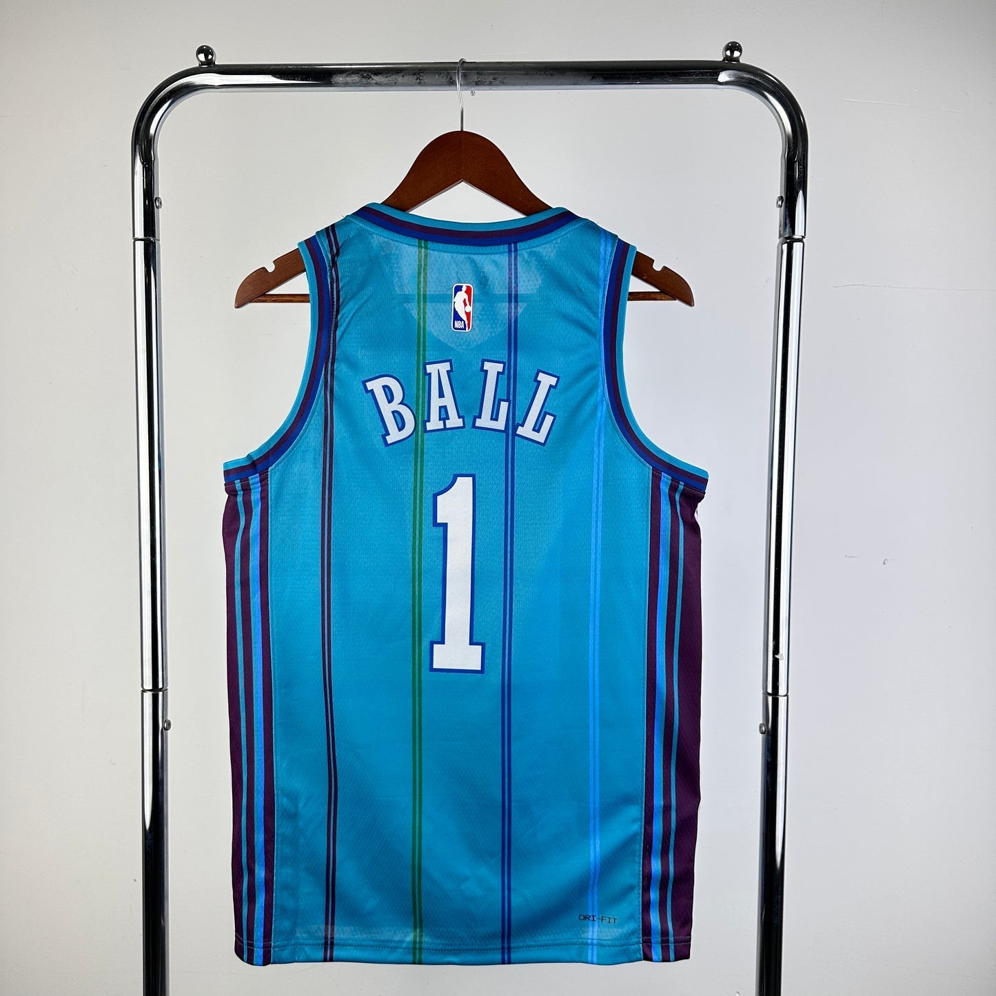 NBA Charlotte Hornets 24